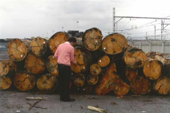 log inspection